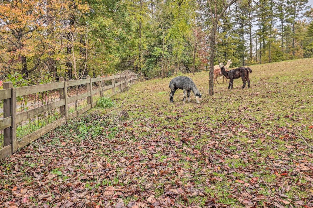 Rustic Hendersonville Farm Studio With Private Deck Bagian luar foto