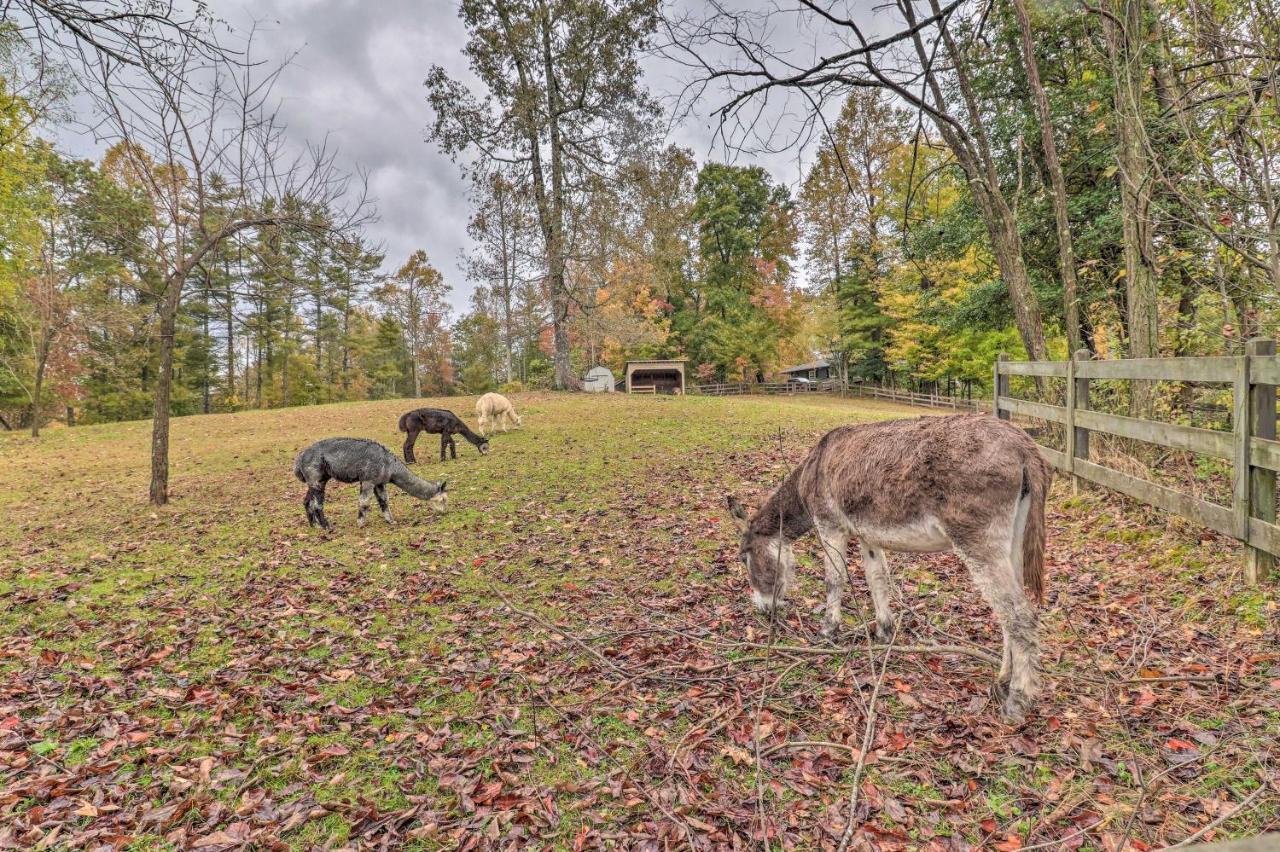 Rustic Hendersonville Farm Studio With Private Deck Bagian luar foto